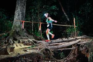 BIB: 
                            <button type="button" onclick="openModal(27386871)" class="btn btn-primary btn-sm float-right btn-popup" data-toggle="modal" data-target=".modal-high-quality">
                        <i class="fas fa-shopping-cart"></i> Add to Cart
                    </button>
                                            <button type="button" onclick="isThisMe(27386871, true)" class="btn btn-success btn-sm float-right btn-popup btn-isme hidden" data-toggle="tooltip" data-placement="bottom" title="นี่คือรูปของคุณใช่ไหม คลิกที่นี่เพื่อเอาเข้าอัลบั้ม">
                        <i class="fas fa-plus"></i> Add to album
                    </button>
                    <button type="button" onclick="isThisMe(27386871, false)" class="btn btn-warning btn-sm float-right btn-popup btn-isnotme hidden">
                        <i class="fas fa-ban"></i> Remove from album
                    </button>